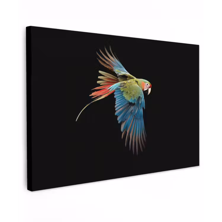 Buiten canvas - Papegaai - Kleurrijk - Vleugels - Sierlijk — 1