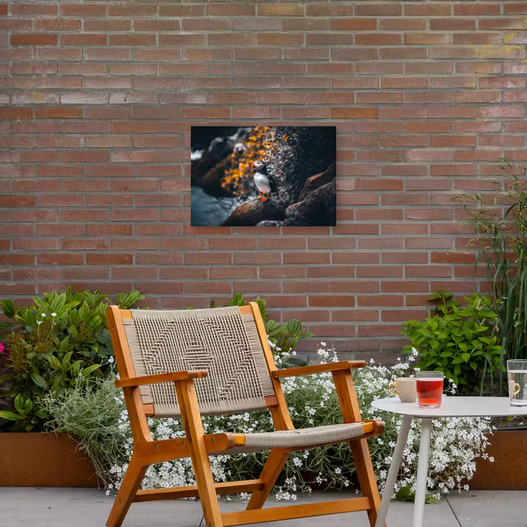 Buiten canvas - Papegaai - Vogel - Rots - Wit — 2