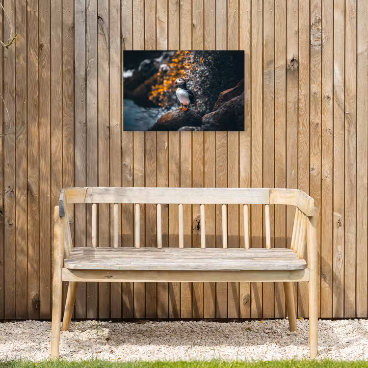 Buiten canvas - Papegaai - Vogel - Rots - Wit — 3