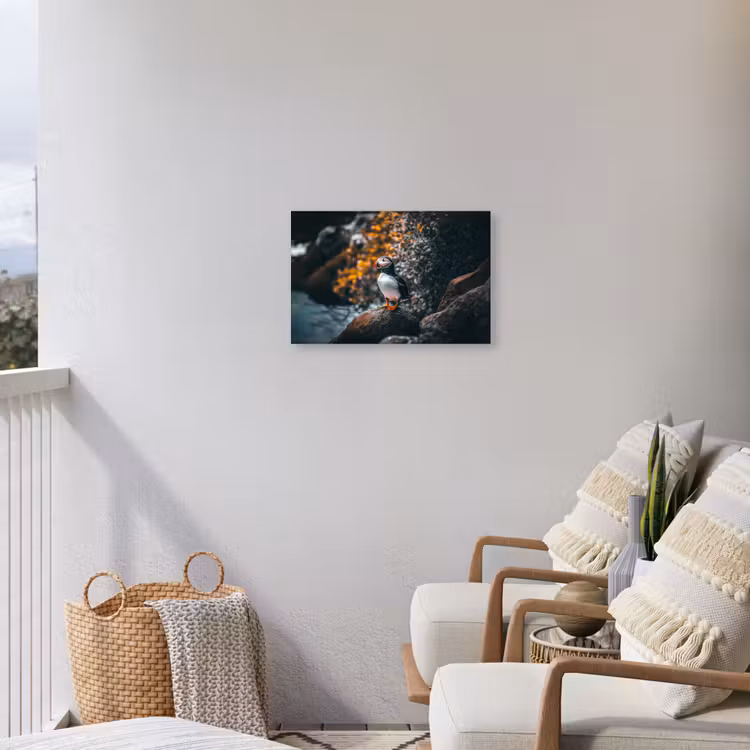 Buiten canvas - Papegaai - Vogel - Rots - Wit — 4