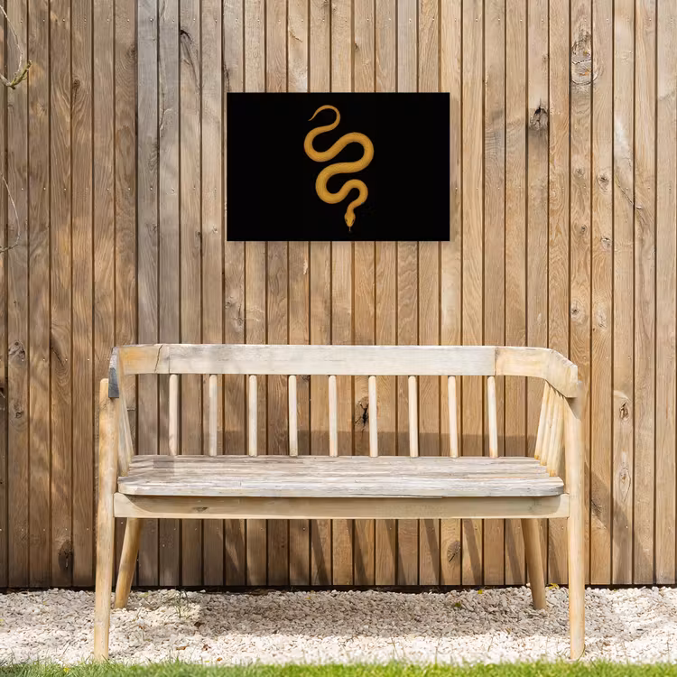 Buiten canvas - Slang - Minimalistisch - Goud — 3
