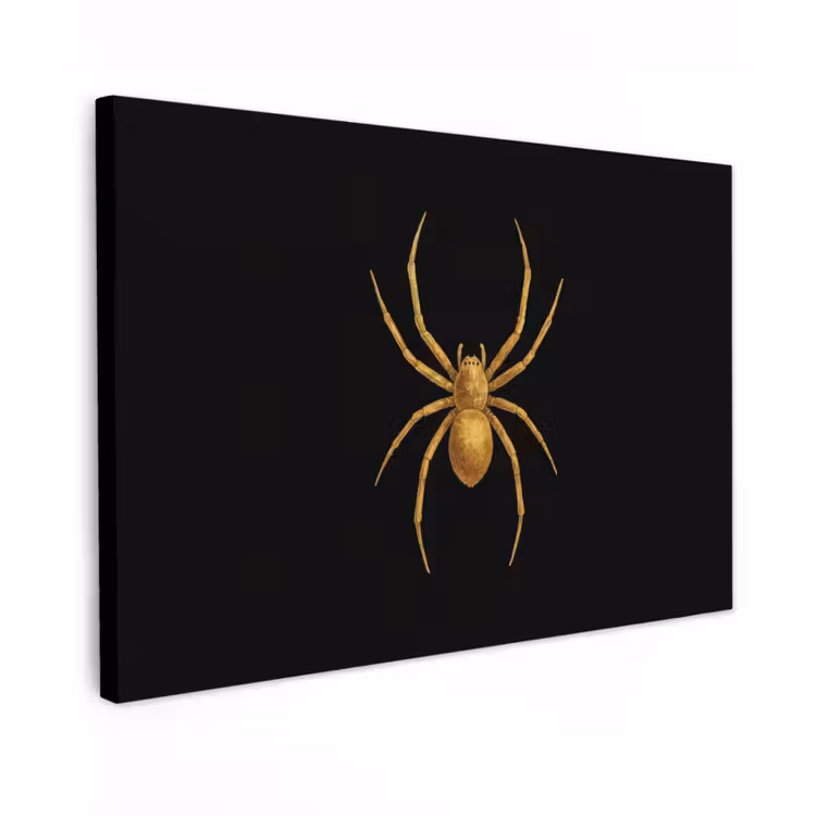 Buiten canvas - Spin - Goud - Minimalistisch - Poten — 1