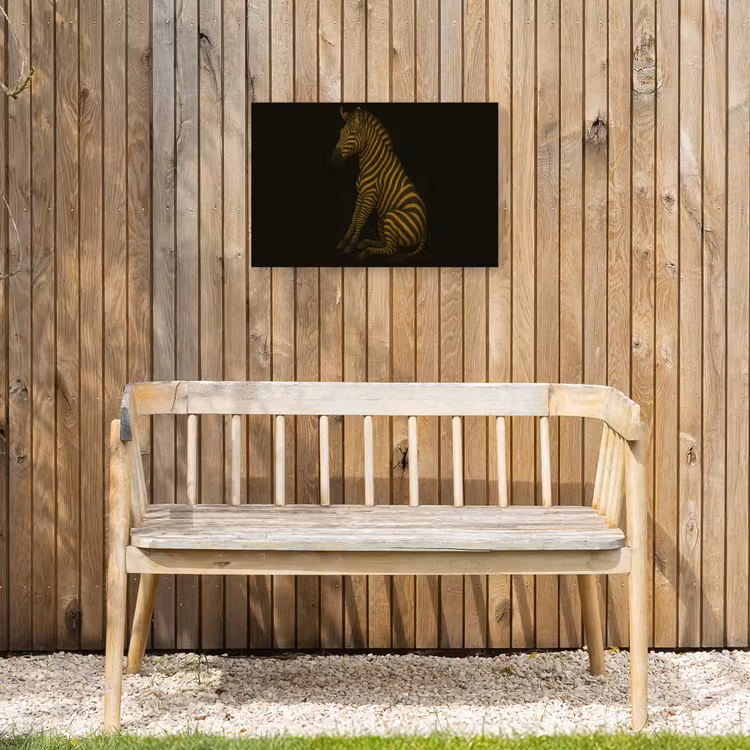 Buiten canvas - Zebra - Strepen - Goud — 3