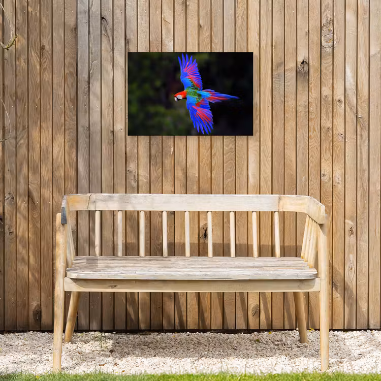 Buiten canvas - Felgekleurd - Papegaai - Bos - Vleugels — 3