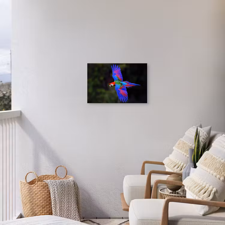 Buiten canvas - Felgekleurd - Papegaai - Bos - Vleugels — 4