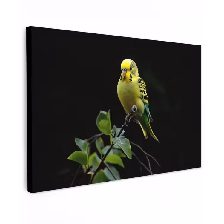 Buiten canvas - Parkiet - Tak - Bladeren - Geel — 1