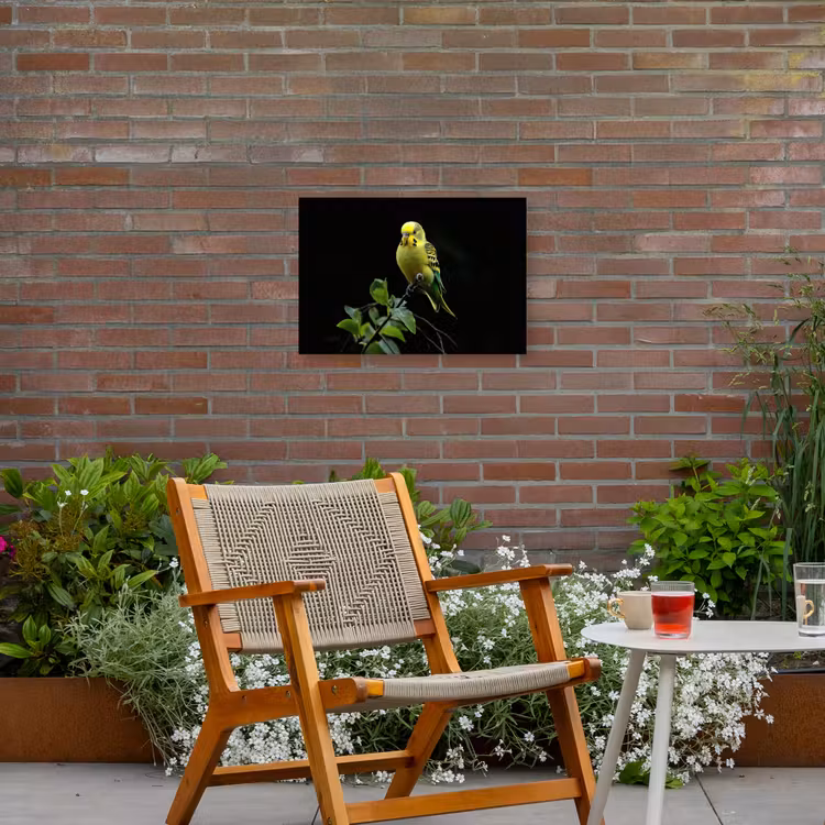 Buiten canvas - Parkiet - Tak - Bladeren - Geel — 2
