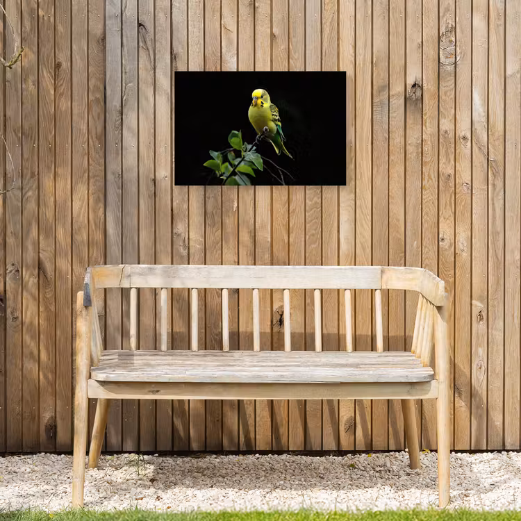 Buiten canvas - Parkiet - Tak - Bladeren - Geel — 3