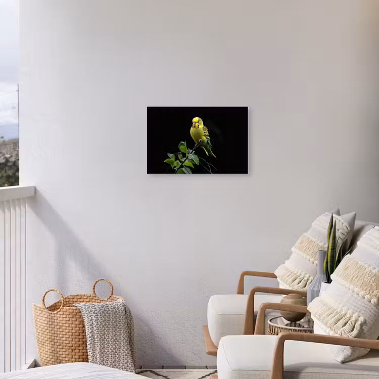 Buiten canvas - Parkiet - Tak - Bladeren - Geel — 4