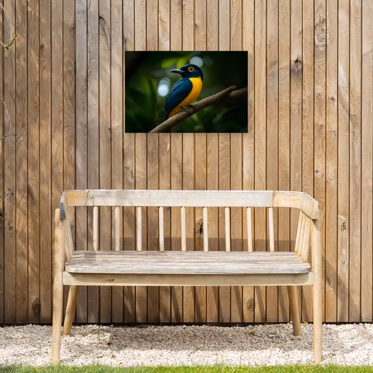 Buiten canvas - Vogel - Tak - Geel - Bladeren — 3