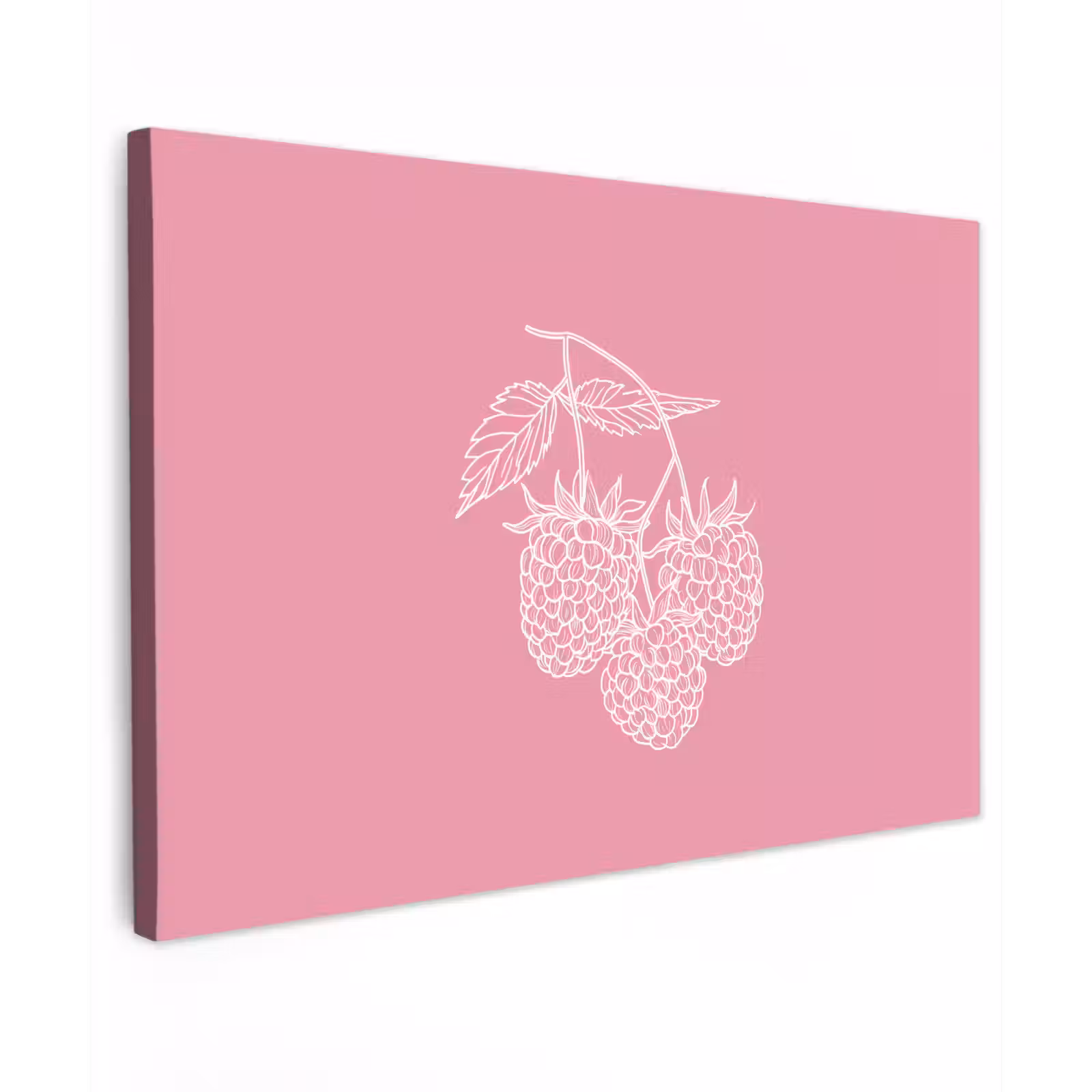 Buiten canvas - Frambozen - Steel - Getekend - Roze — 1