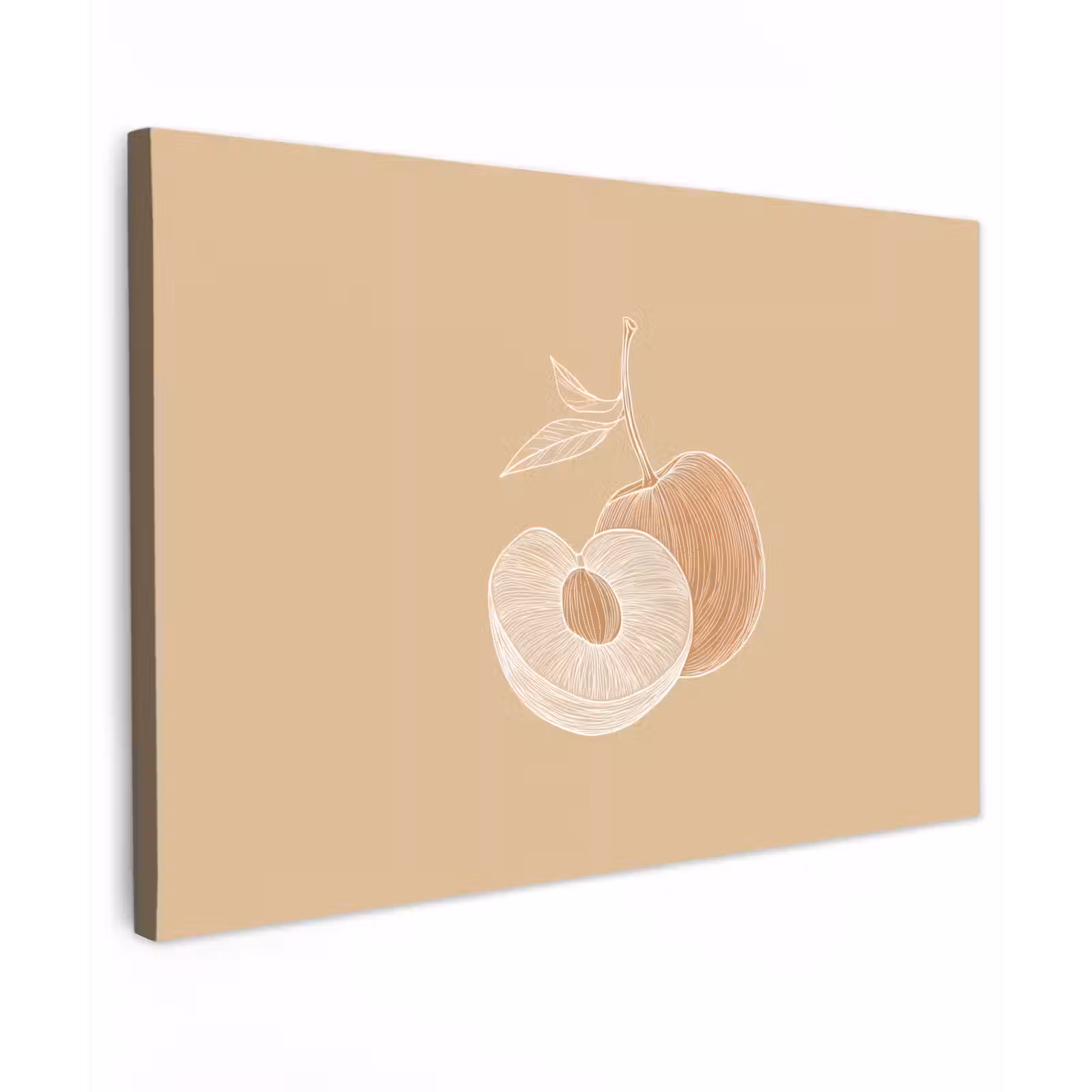 Buiten canvas - Perzik - Lijntekening - Pit - Beige — 1