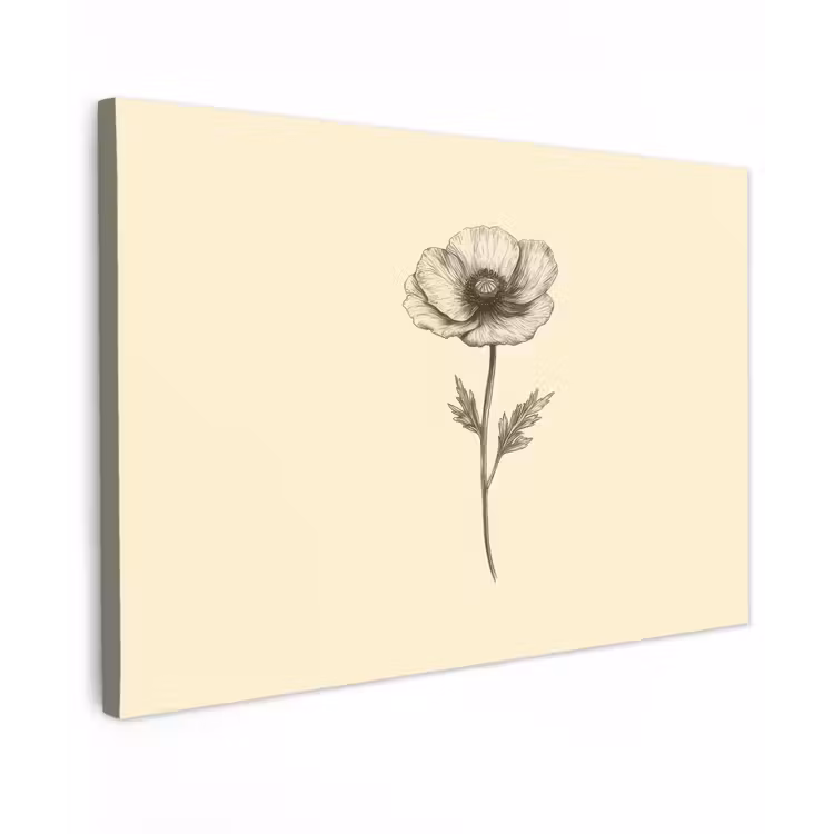 Buiten canvas - Klaproos - Illustratie - Zwart — 1