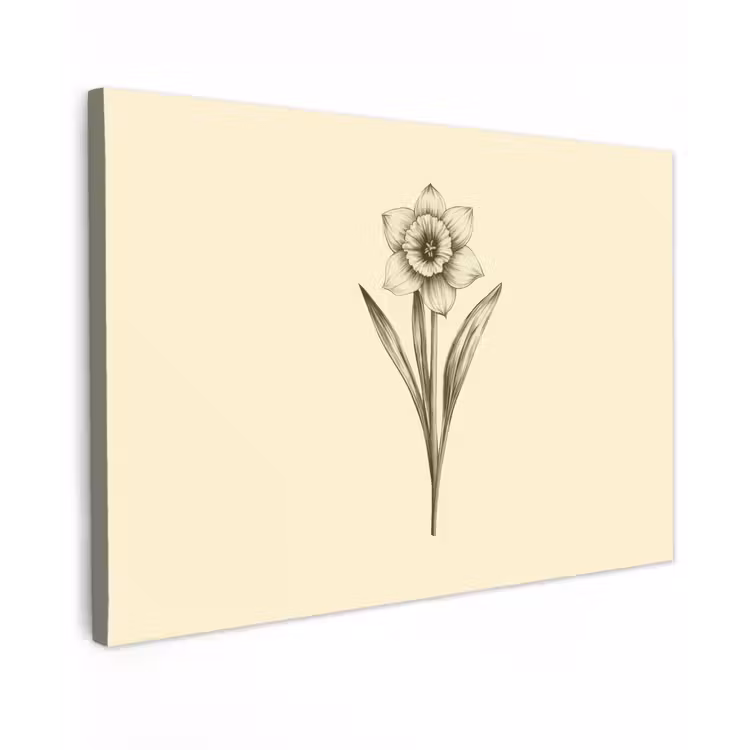 Buiten canvas - Zwart - Narcis - Illustratie — 1