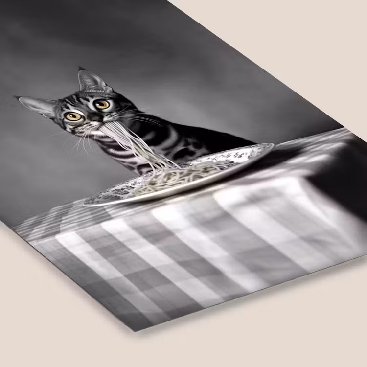 Poster met lijst - Bengaal - Kat - Tafelkleed - Zwart - Wit - Dier — 7