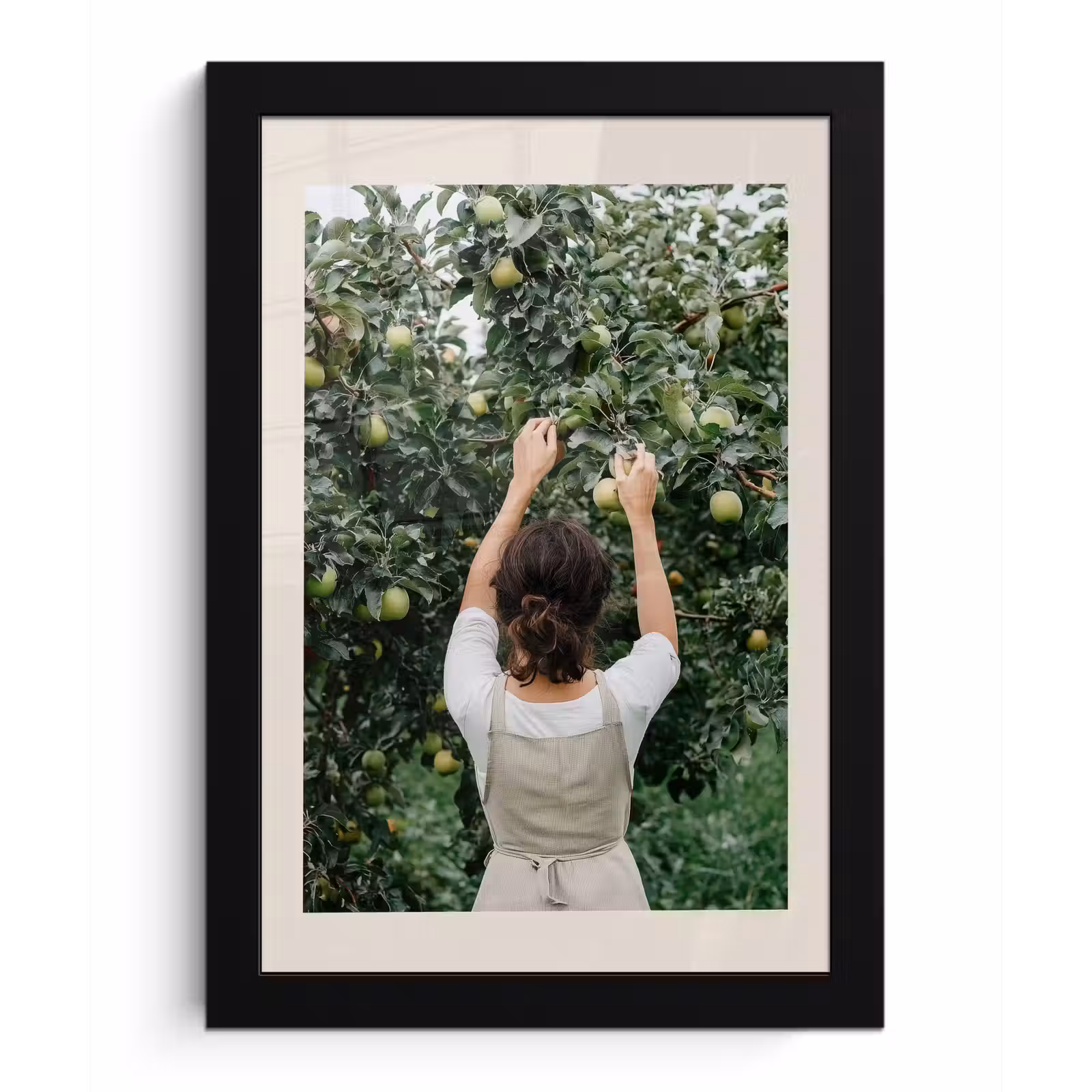Poster met lijst - Boom - Appels - Plukken - Natuur — 1