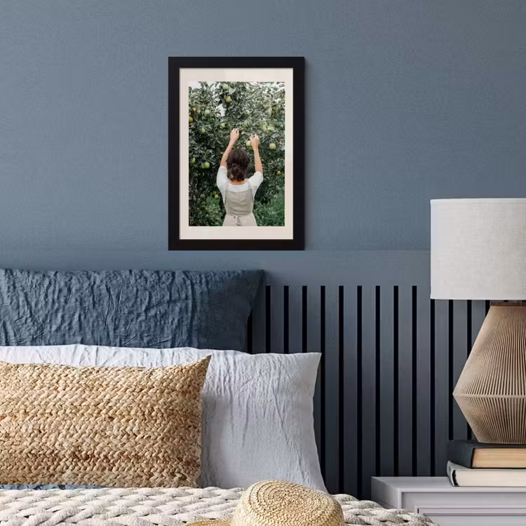Poster met lijst - Boom - Appels - Plukken - Natuur — 3