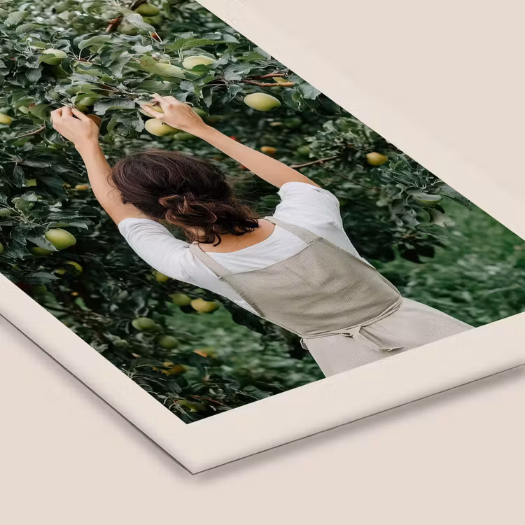 Poster met lijst - Boom - Appels - Plukken - Natuur — 7