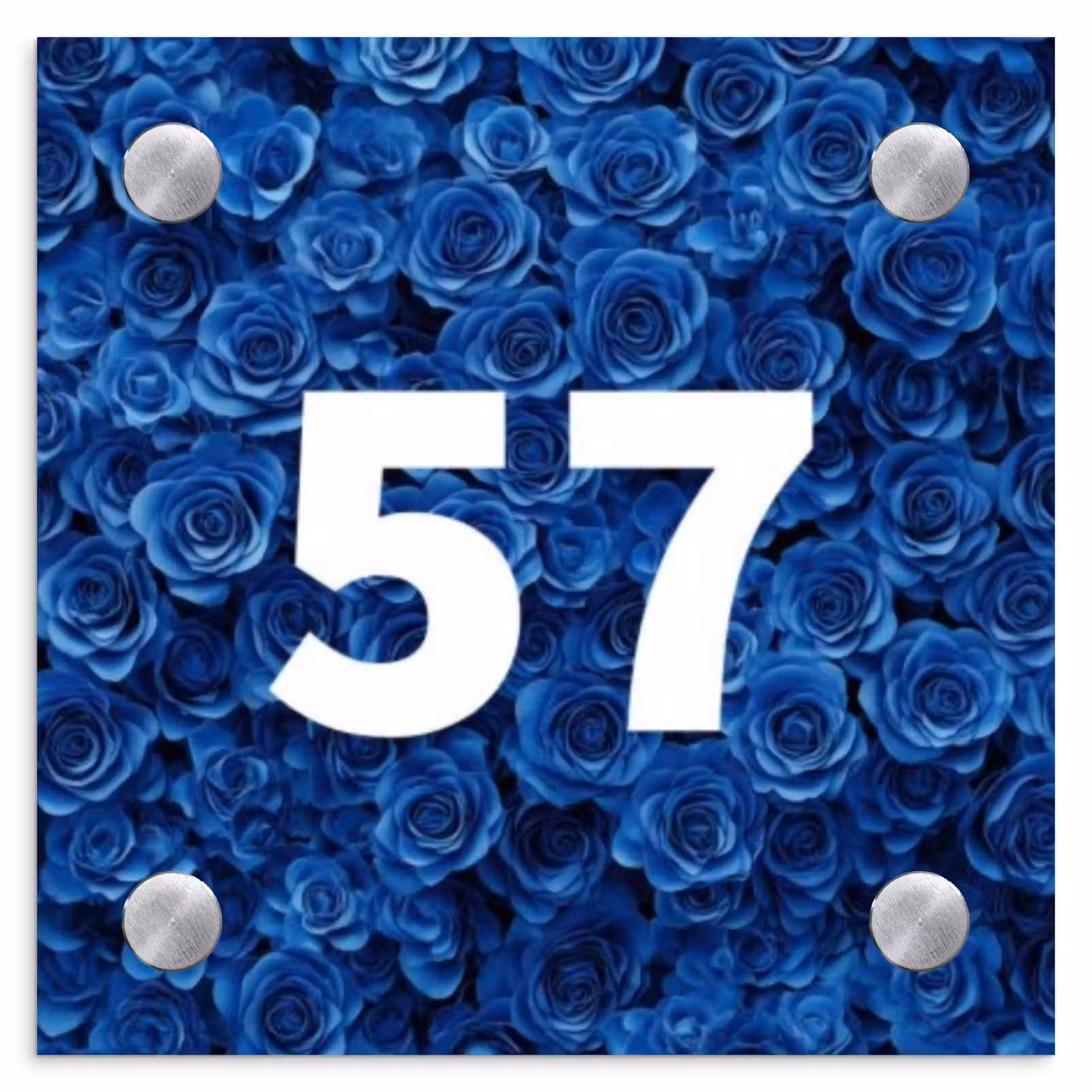 Naambordje voordeur - Vierkant - Blauwe rozen - Traditioneel — 1