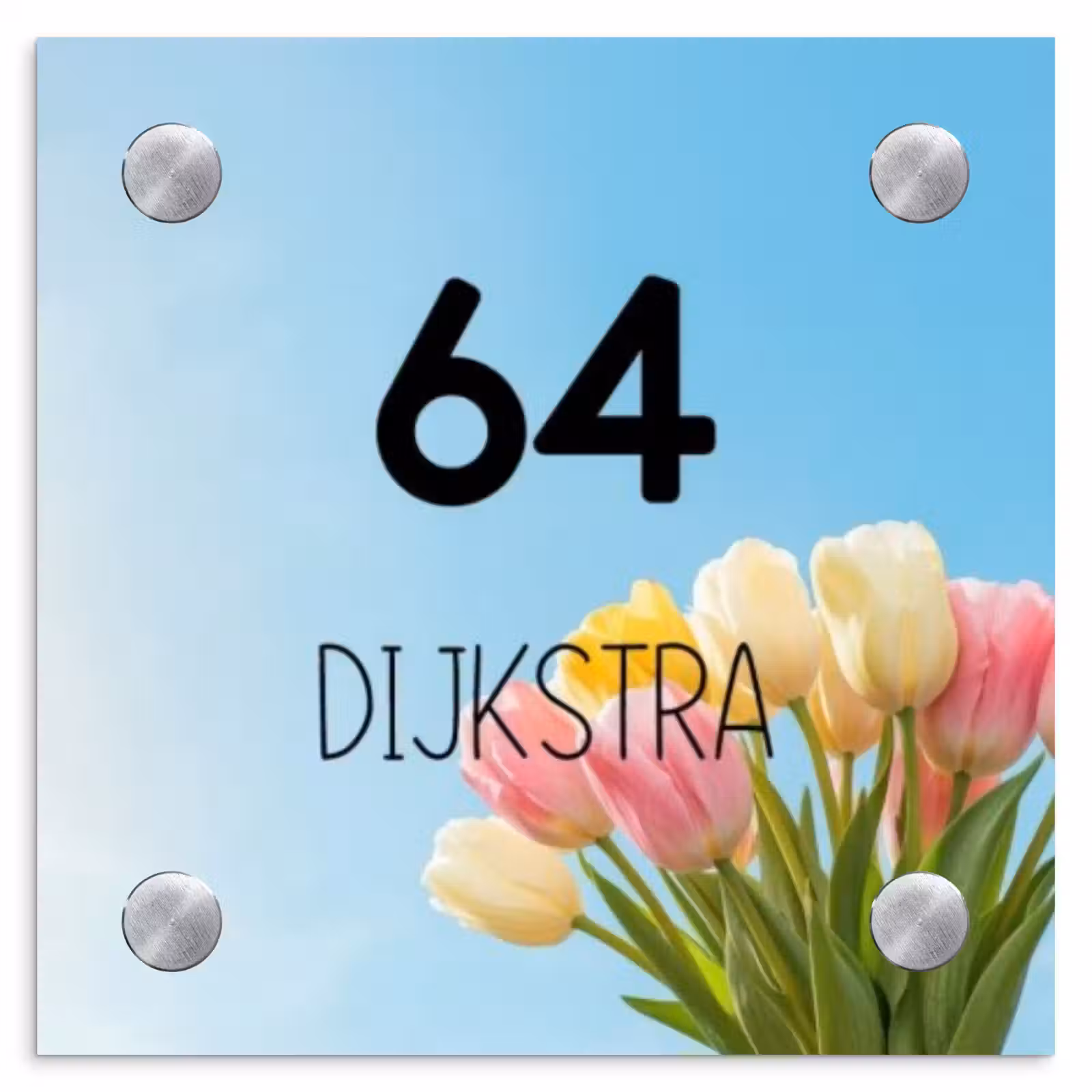 Naambordje voordeur - Vierkant - Gekleurde tulpen lucht - Modern — 1