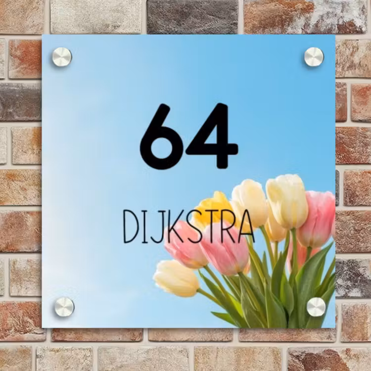 Naambordje voordeur - Vierkant - Gekleurde tulpen lucht - Modern — 4