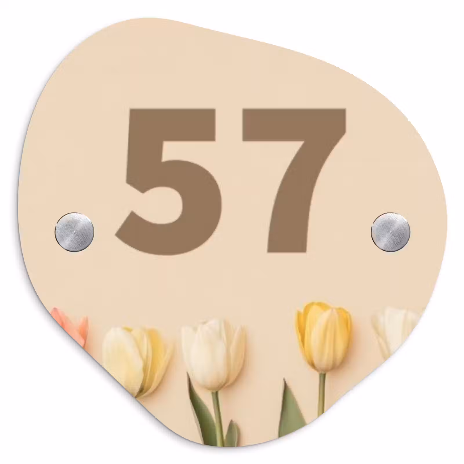 Naambordje voordeur - Organisch - Gekleurde tulpen beige achtergrond - Traditioneel — 1