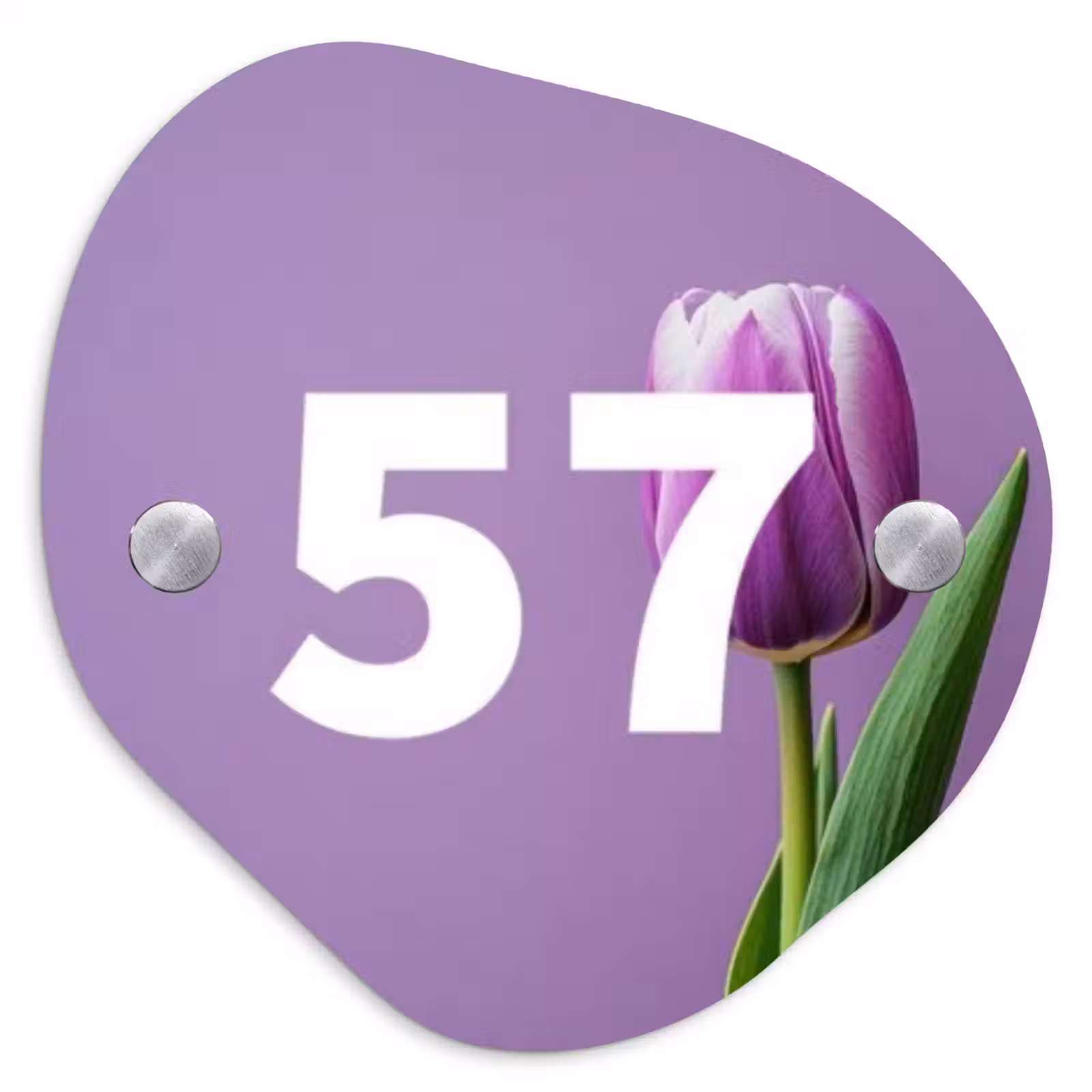Naambordje voordeur - Organisch - Paarse tulp - Traditioneel — 1