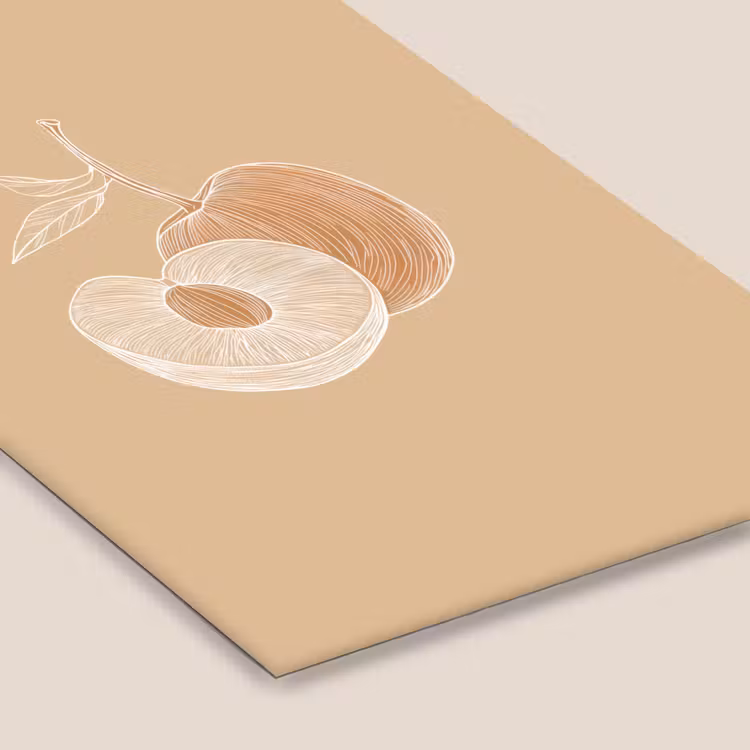 Poster met lijst - Perzik - Lijntekening - Pit - Beige — 7