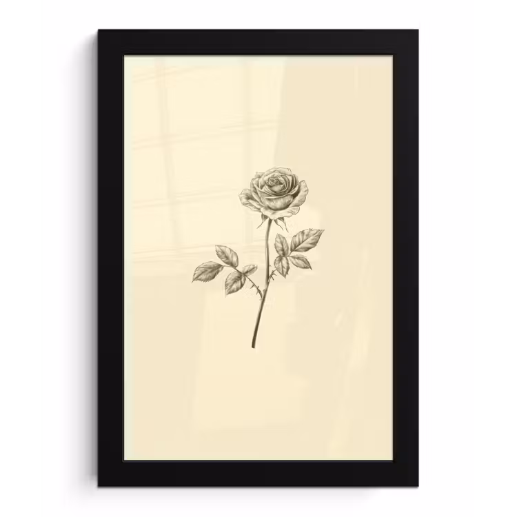 Poster met lijst - Illustratie - Zwart - Roos — 1