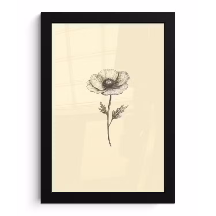 Poster met lijst - Klaproos - Illustratie - Zwart — 1