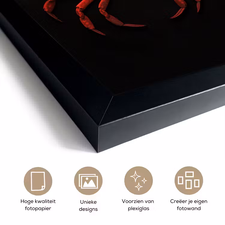 Poster met lijst - Rode Krab — 6