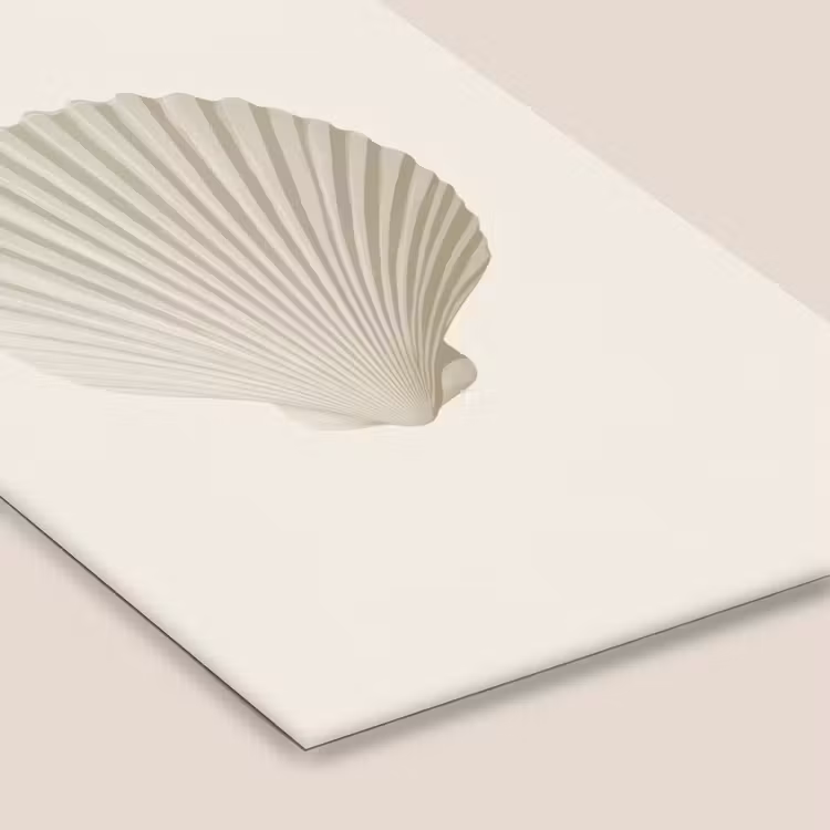 Poster met lijst - Schelp - Minimalistisch - Wit — 7