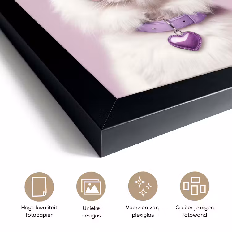 Poster met lijst - Witte Kat met Hartjesbril — 6