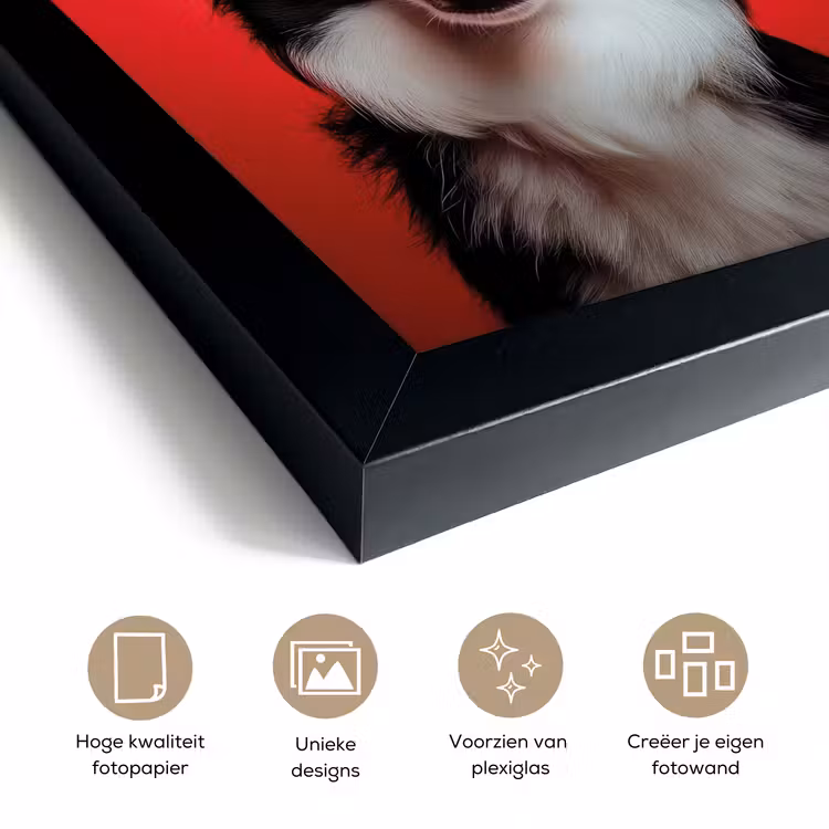 Poster met lijst - Hond met Hartjes Zonnebril Rood — 6