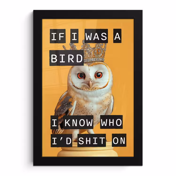 Poster met lijst - Geel - Uil - Vogel - Decoratie