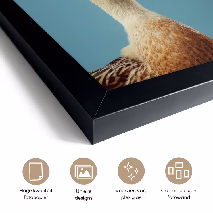 Poster met lijst - Eend - Koksmuts - Cute - Vogel — 6