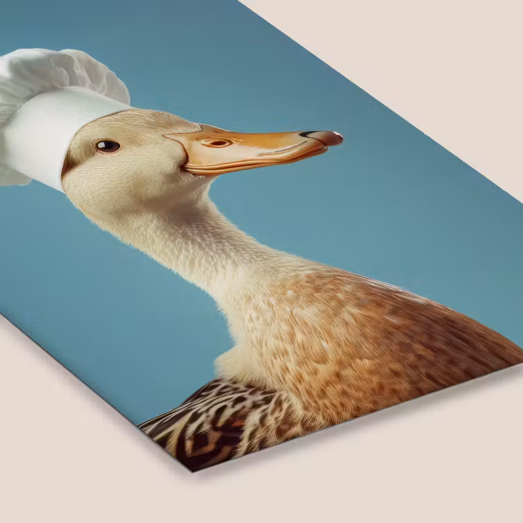 Poster met lijst - Eend - Koksmuts - Cute - Vogel — 7