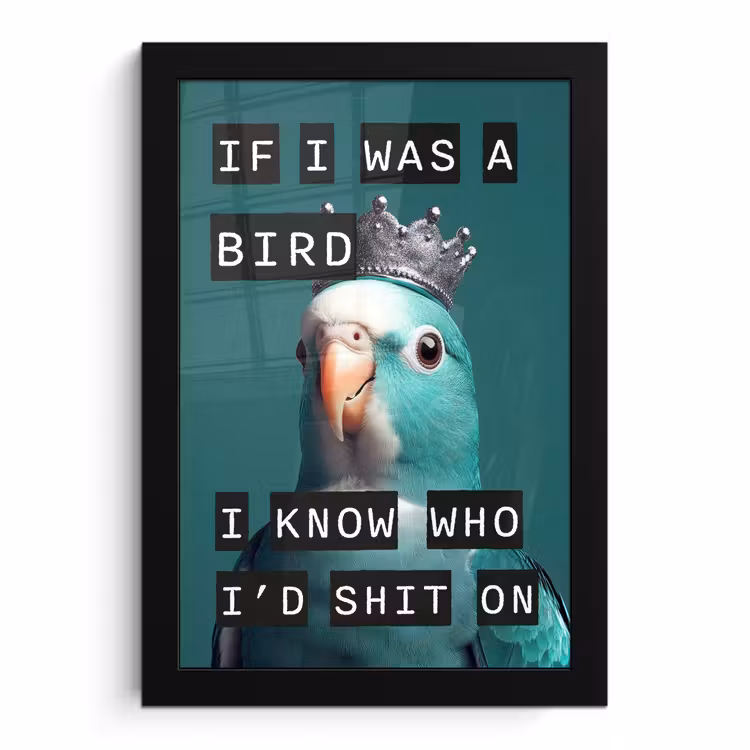 Poster met lijst - Parkiet - Turquoise - Quotes - Decoratie