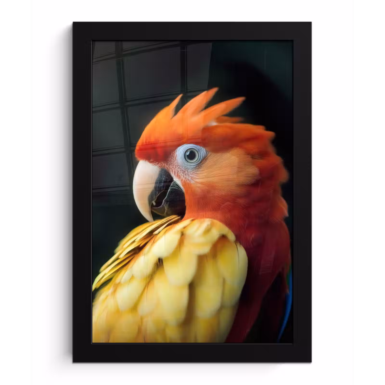 Poster met lijst - Close-up - Papegaai - Veren - Oranje — 1