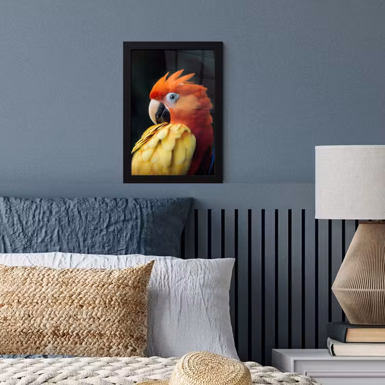 Poster met lijst - Close-up - Papegaai - Veren - Oranje — 3