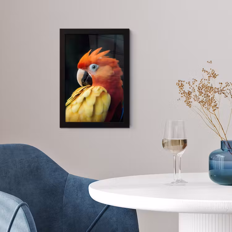 Poster met lijst - Close-up - Papegaai - Veren - Oranje — 4