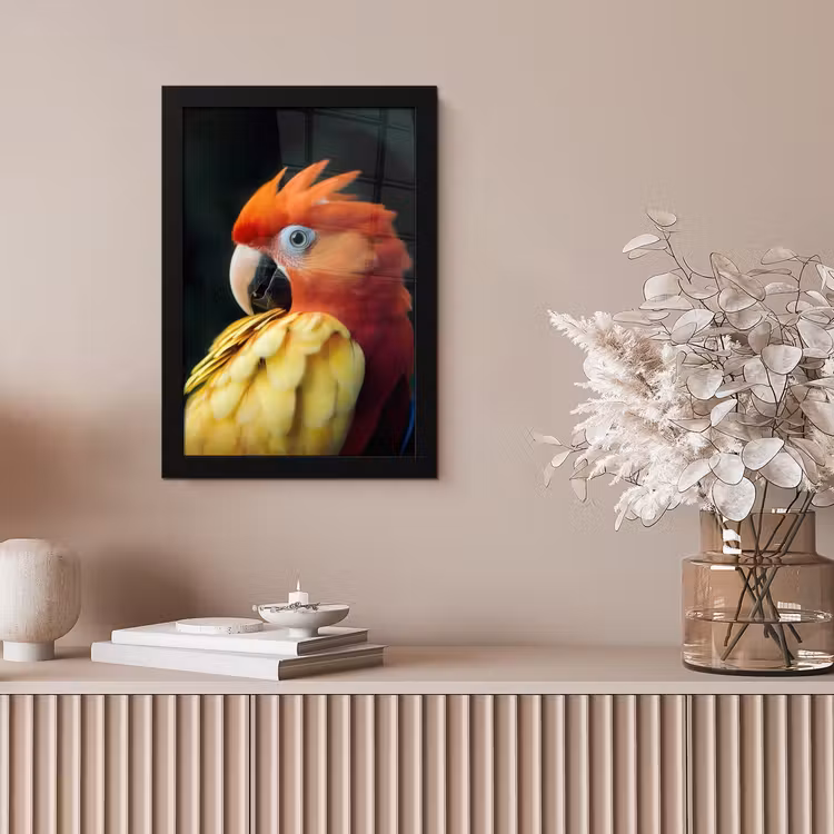 Poster met lijst - Close-up - Papegaai - Veren - Oranje — 5