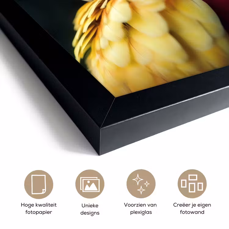 Poster met lijst - Close-up - Papegaai - Veren - Oranje — 6