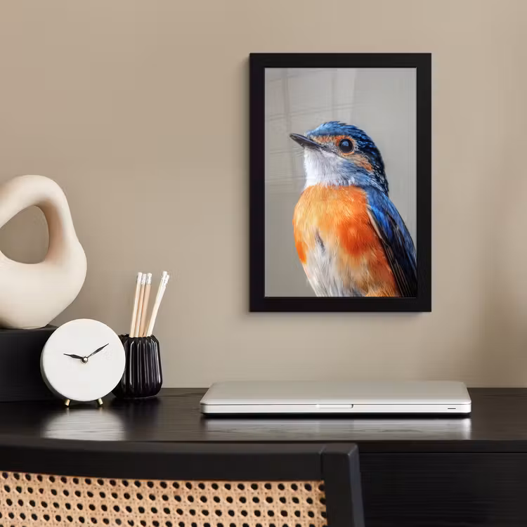 Poster met lijst - Kleurrijk - Vogeltje - Veren - Blauw — 2