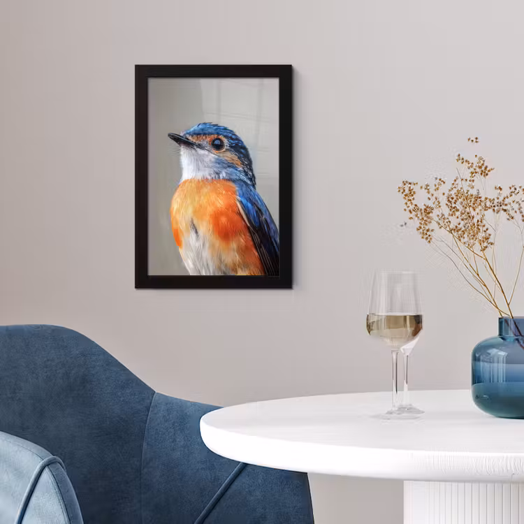 Poster met lijst - Kleurrijk - Vogeltje - Veren - Blauw — 4