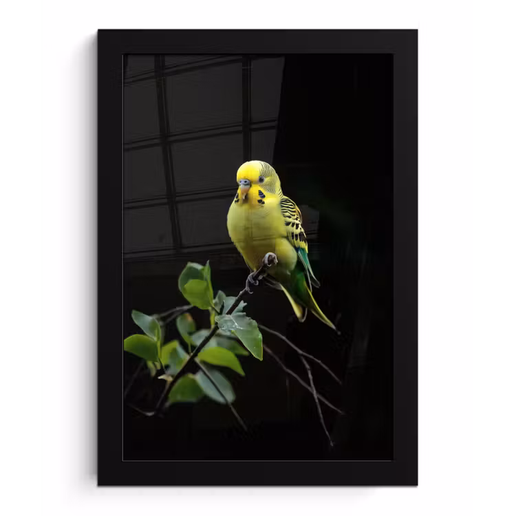 Poster met lijst - Parkiet - Tak - Bladeren - Geel — 1