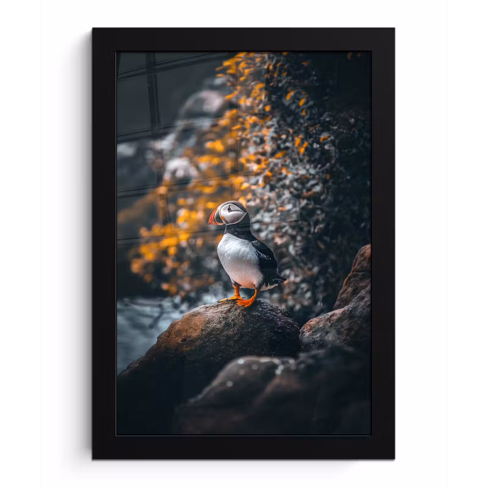 Poster met lijst - Papegaai - Vogel - Rots - Wit — 1