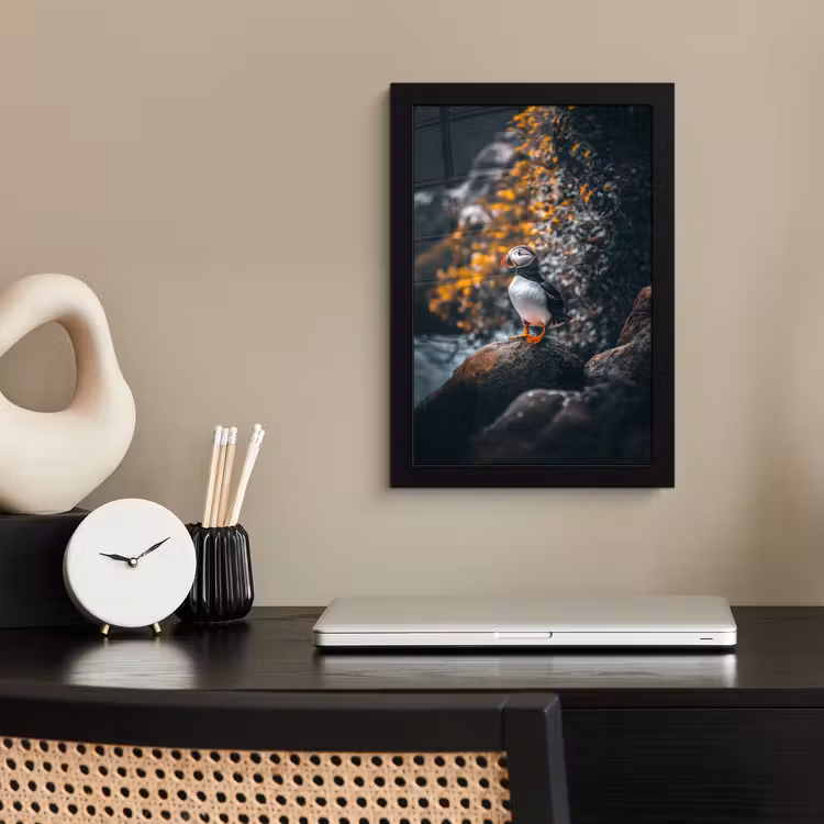 Poster met lijst - Papegaai - Vogel - Rots - Wit — 2