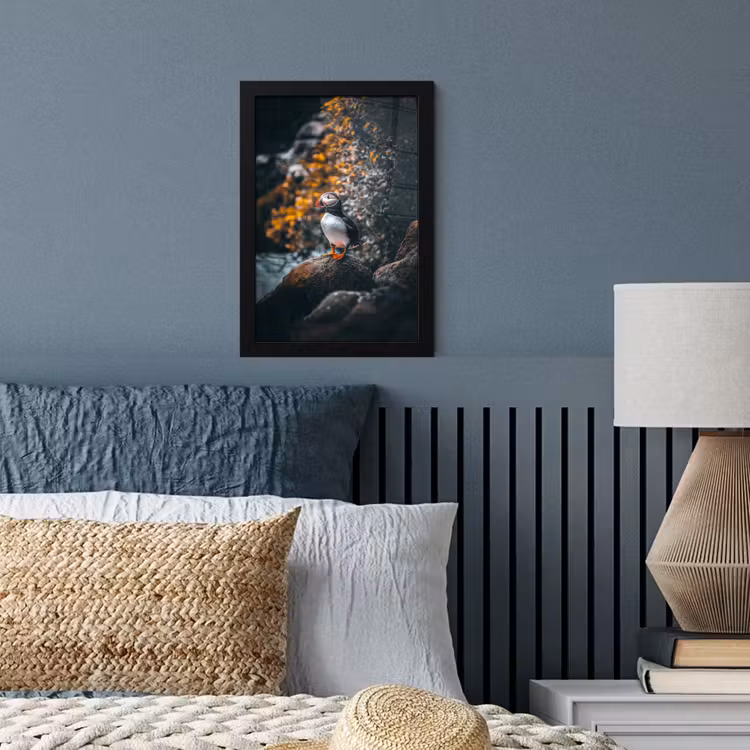 Poster met lijst - Papegaai - Vogel - Rots - Wit — 3