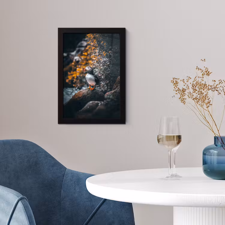 Poster met lijst - Papegaai - Vogel - Rots - Wit — 4